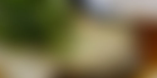 The Grouper Crisis in Hong Kong