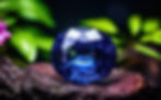 Colorful sapphire gemstone with a rich blue hue.