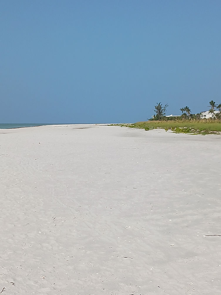 20230725_095547.jpg