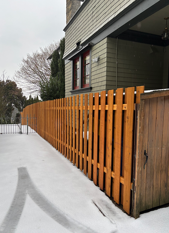 fence1.JPG