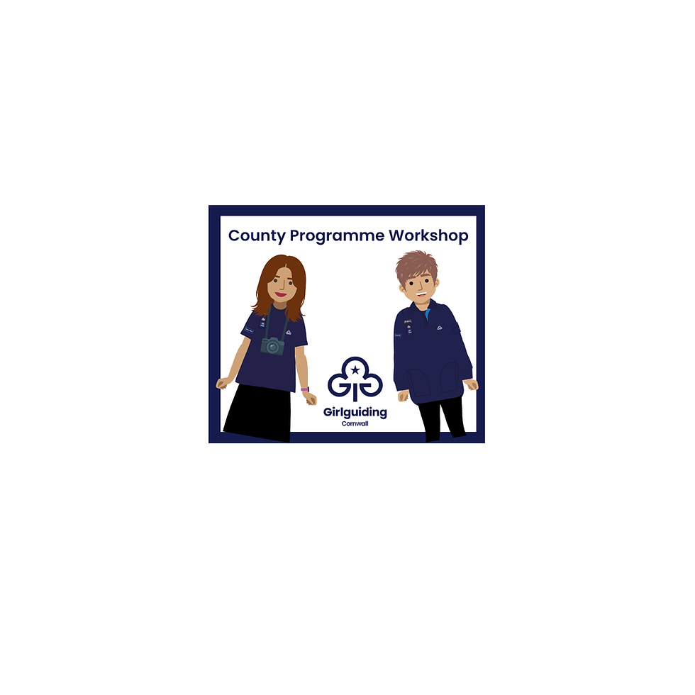 County Programme Workshop