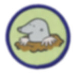 Thumbnail: Brownie Six Woven Emblem - Woodland Animals