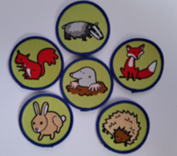 Brownie Six Woven Emblem - Woodland Animals