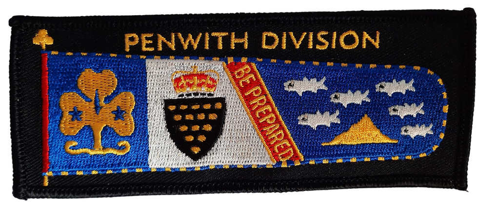 Thumbnail: County & Division Standard badges