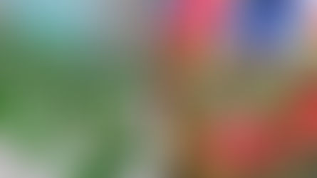 Nominations and Applications Open! 2025 New Sustainable Cities and Human Settlements Awards