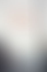 Blog Tour: The Den by Abi Maxwell