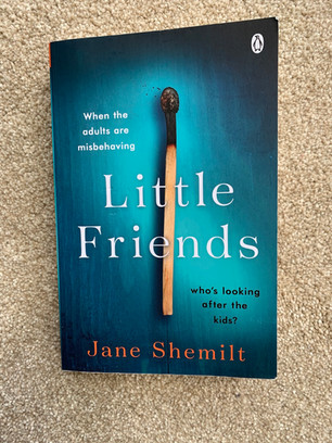 Blog Tour: Little Friends by Jane Shemilt