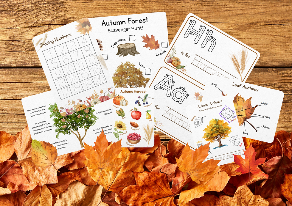 Autumn Activity Pack
