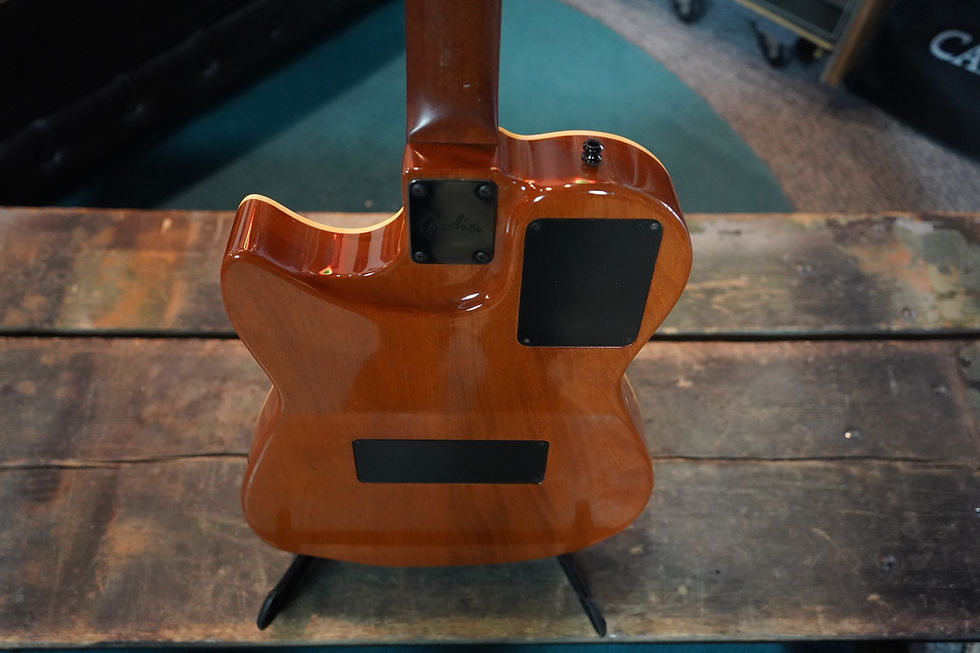 Thumbnail: 1995 Godin Acoustic/Electric