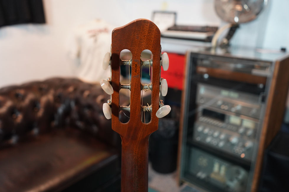Thumbnail: 1995 Godin Acoustic/Electric