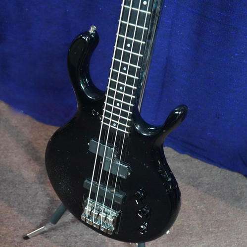 ベース Pedulla MVP fretless Pedulla Pentabuzz 5-String Fretless Buzz Bass Cherry