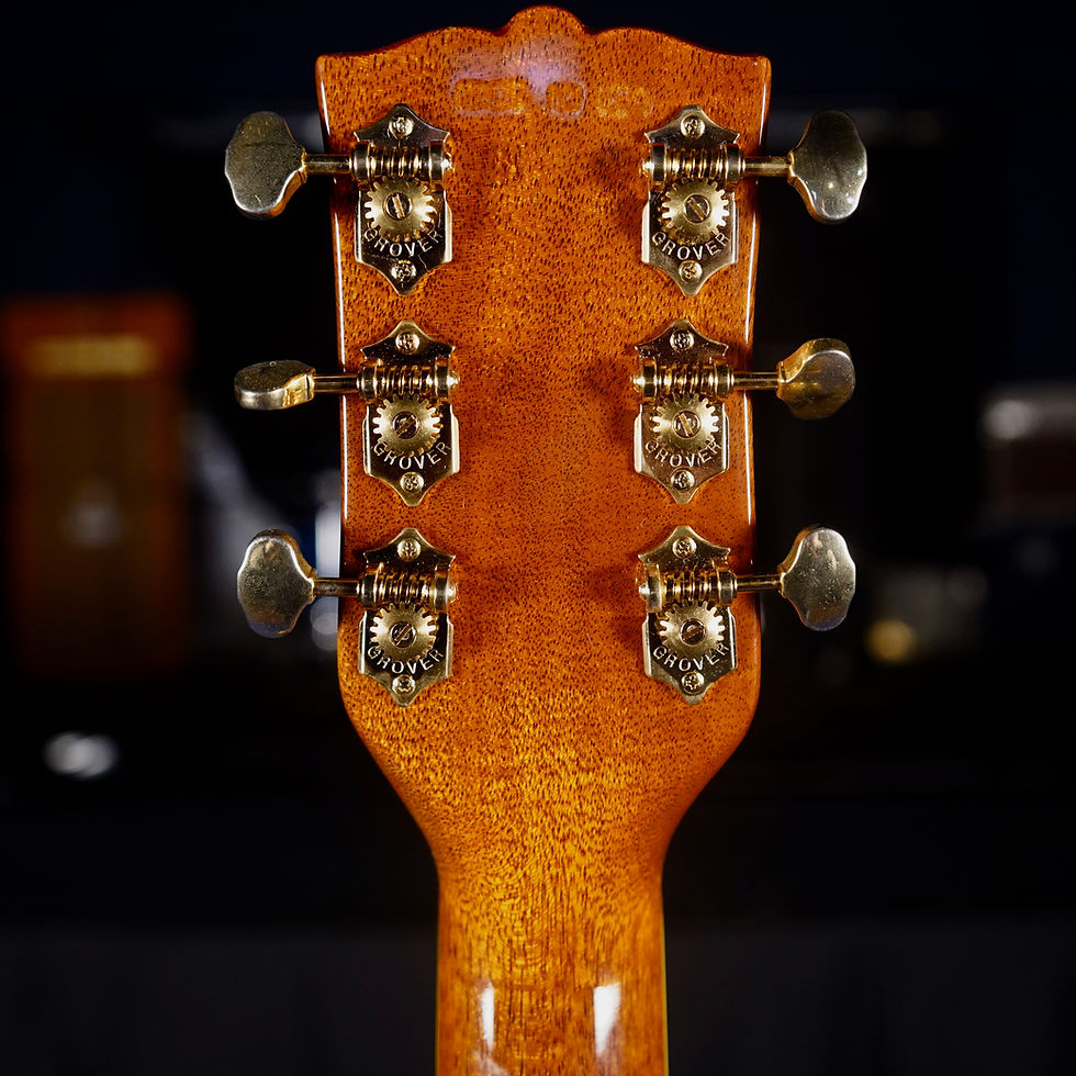 Thumbnail: Washburn Solo Deluxe Warren Haynes Model Acoustic