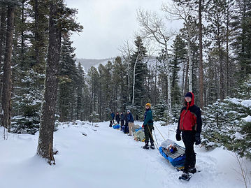Pulling sleds with crew.jpeg