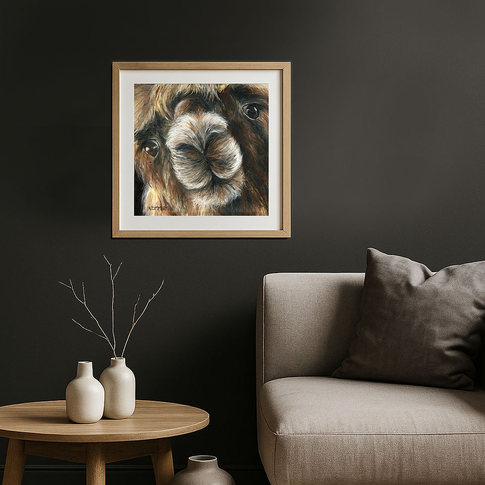 Conswala Close-Up (llama) of Lucky Us Farm - Print