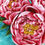 Thumbnail: Peonies in Bloom - Greeting Card