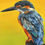 Thumbnail: King Fisher Bird - Greeting Card