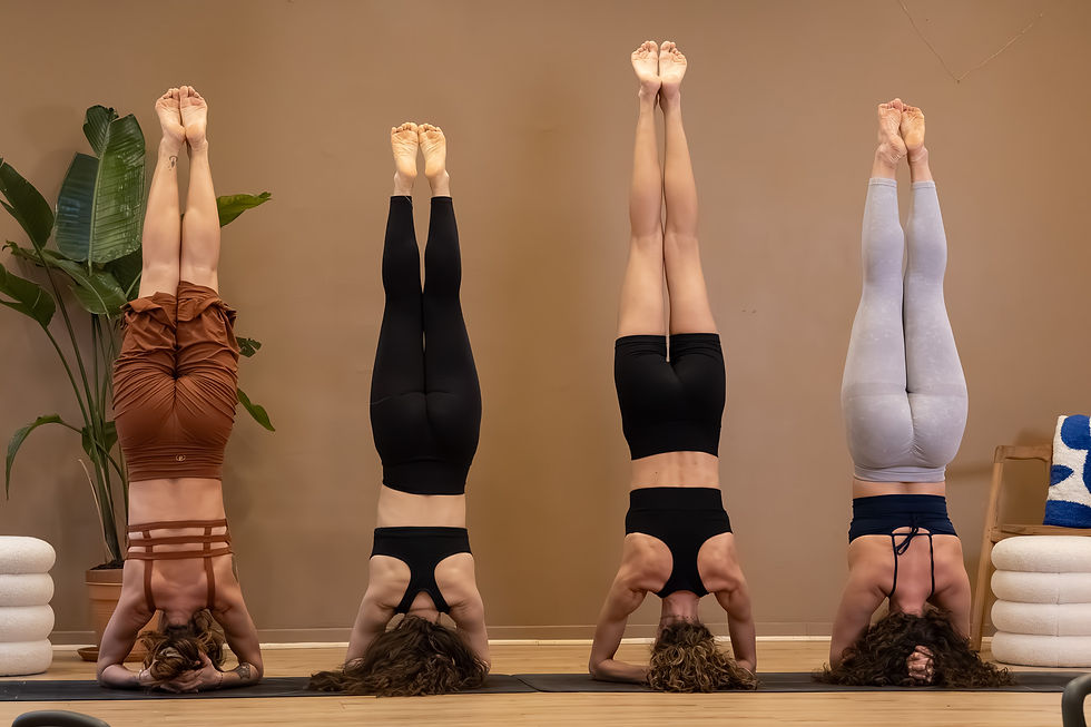 Stage de Vinyasa Detox - Avancé