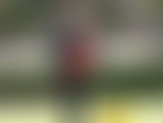 LA BELLA FONTANA PARK UPDATE