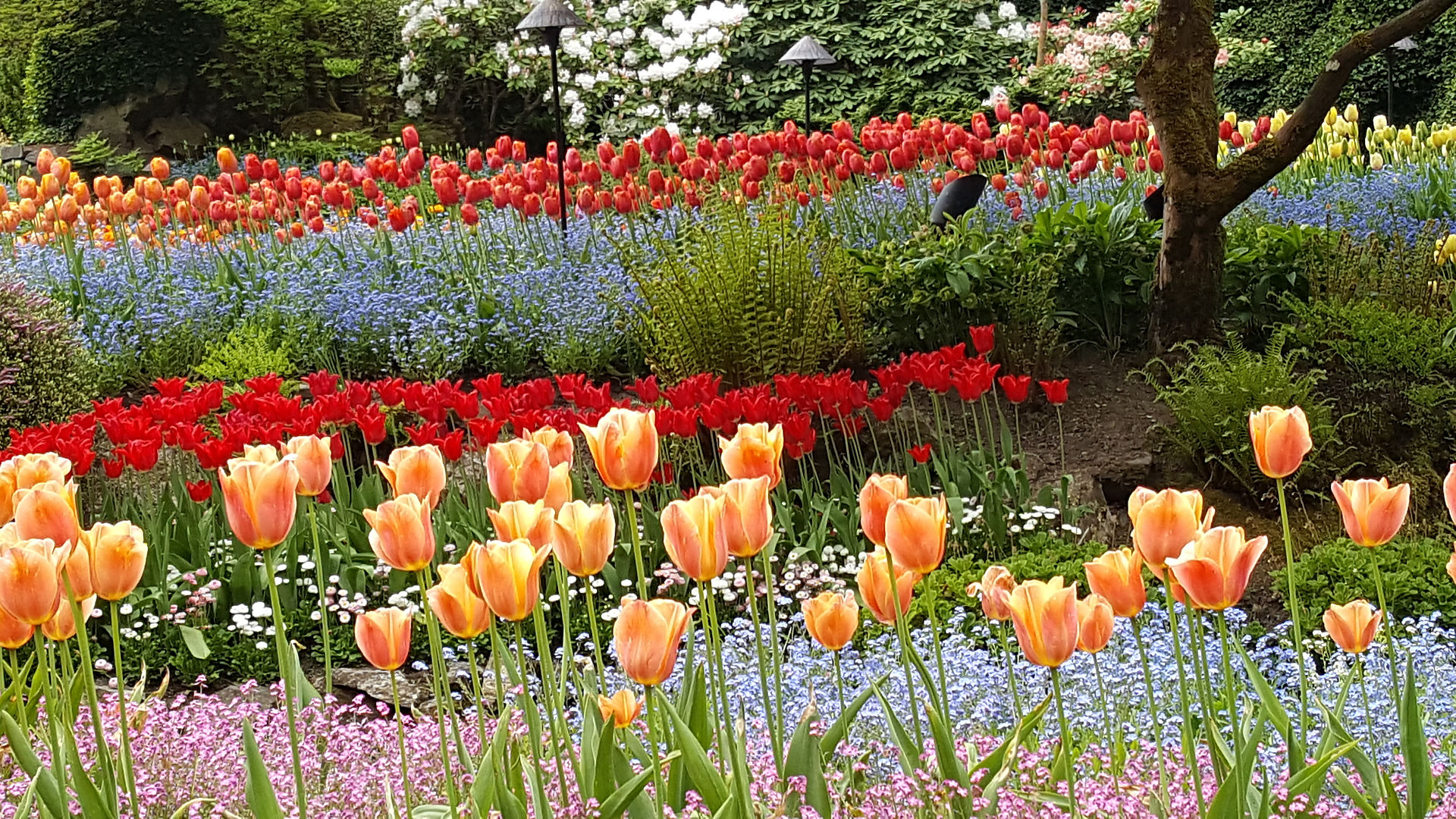 20180504_104221
