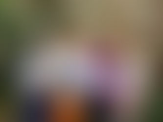 NIGC won awards in June at the State Convention again this year!