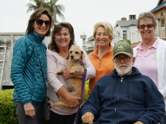 Beautification Summer 2019