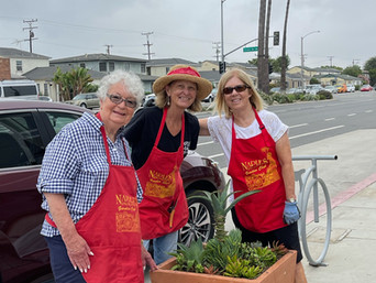 NIGC Gardening on 2nd Street