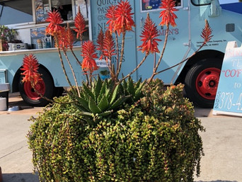 2nd Street Planters