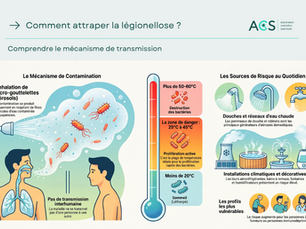 Infographie ACS : comment attraper la légionellose par inhalation d'aérosols d'eau contaminée, températures à risque et sources