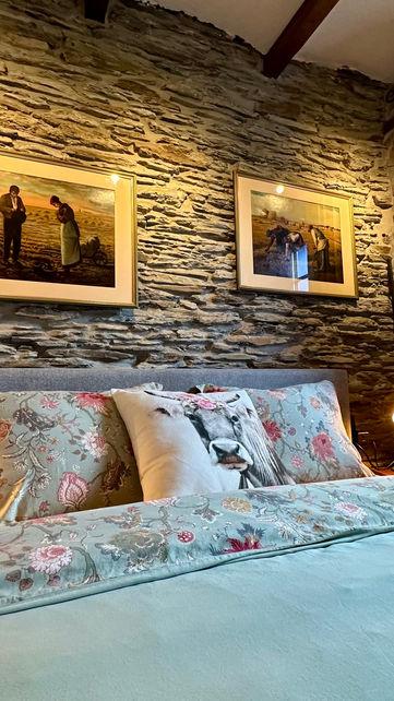 Een gezellige en rustieke kamer, gevestigd in een oude Ardense boerderij, waar elk detail een verhaal vertelt van tradities en herinneringen.