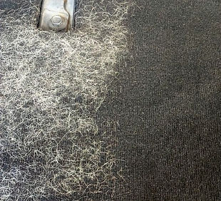 Bubs Pet Hair Removal.jpg