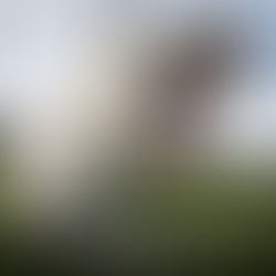 The Surprising Role of Humor in Our Lives