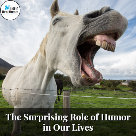 The Surprising Role of Humor in Our Lives