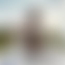 Positive Mindset, Positive Health: How Thoughts Influence Well-being