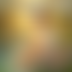 The Impact of Gratitude on Well-Being