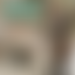 Inclusivity and Equality: How Martin Luther King Jr.’s Vision Resonates in the Disability Advocacy Movement