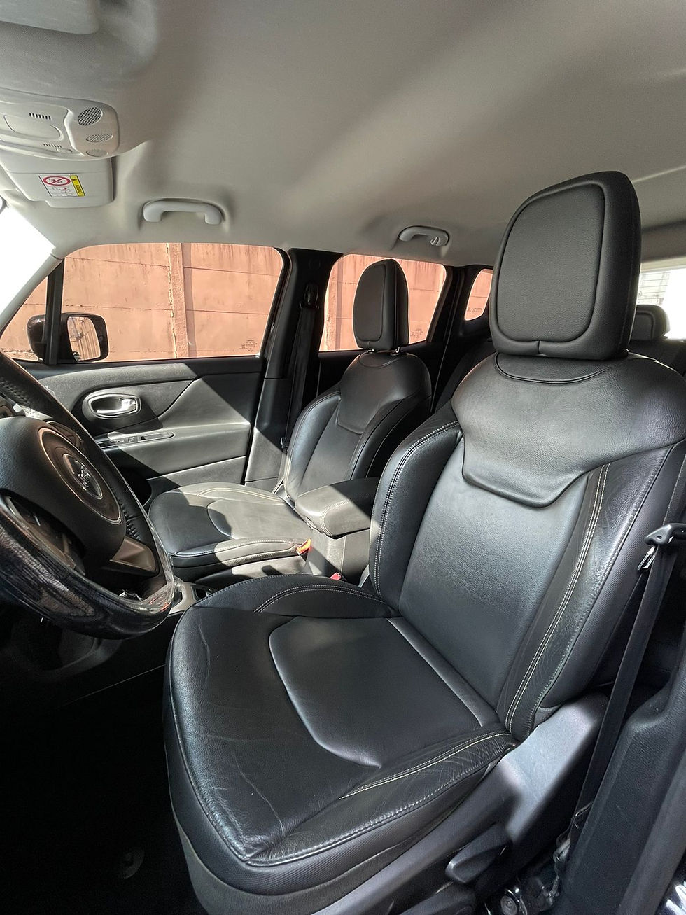 Miniatura: JEEP RENEGADE LONG 2018