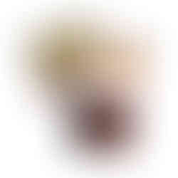 Pokemon Ascended Heroes Tech Sticker Collection - Charizard