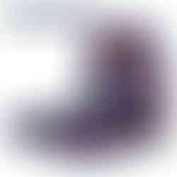 Weiss Schwarz Disney Mirrorverse Booster Box Japanese