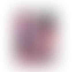 CASE of 12 - Ultra Pro 9-Pocket Portfolio Pokemon SV-10 Destined Rivals