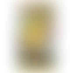 Pokemon Mega Dream Booster PacK jAPANESE