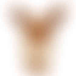 Pokemon Eevee Plush - 8" from Jazwares