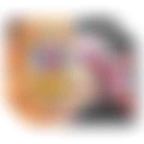 Pokemon Slashing Legends Tin Zacian or Koraidon