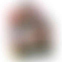 Pokemon Perfect Order Booster Box