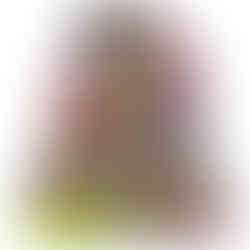 (01/28) Pokemon Munikis Zero aka Nihil / Nullifying Zero Japanese Booster Box