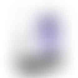 Ultra Pro Apex Sleeves Pokemon Elite Series Gengar