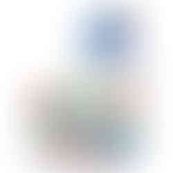 Pokemon 2024 World Championship Deck Display - Honolulu Hawii