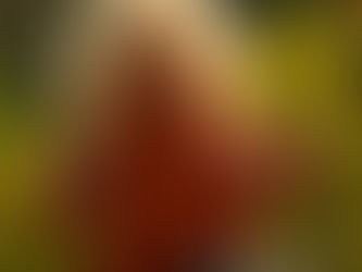 A játszótéri játékok szerepe a gyermekek fejlődésében