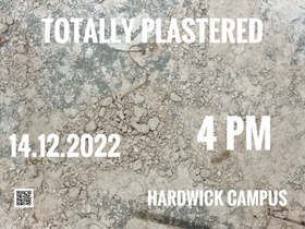 Totally Plastered