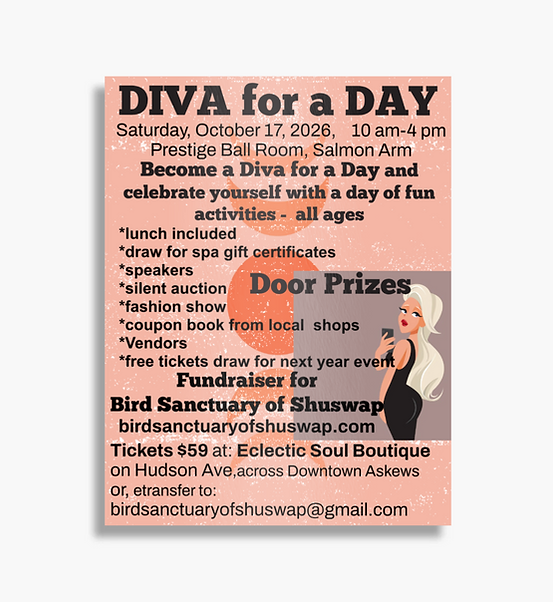poster diva final copy (1).png