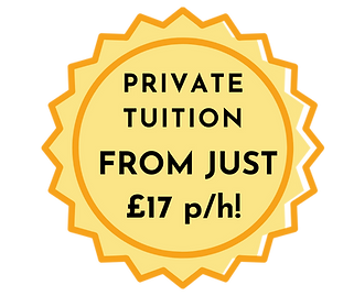 online lessons (3).png